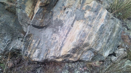 Гигантские зелёные валуны для ландшафтного дизайна весом более 5 тонн купить в Реутове