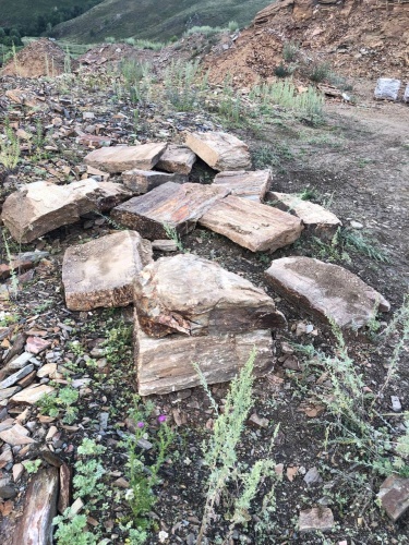 Плитняк кора дерева 50-100мм для пошаговых дорожек купить в Реутове